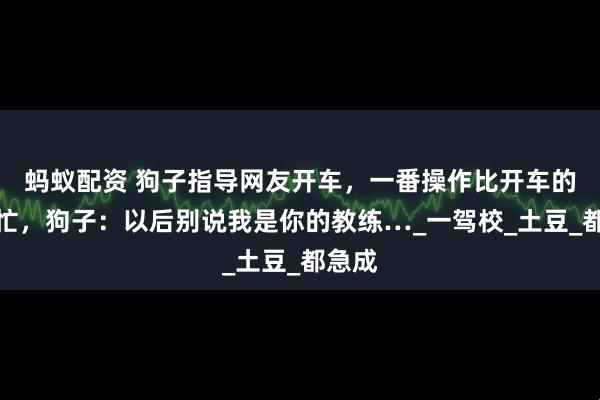 蚂蚁配资 狗子指导网友开车，一番操作比开车的人还忙，狗子：以后别说我是你的教练…_一驾校_土豆_都急成