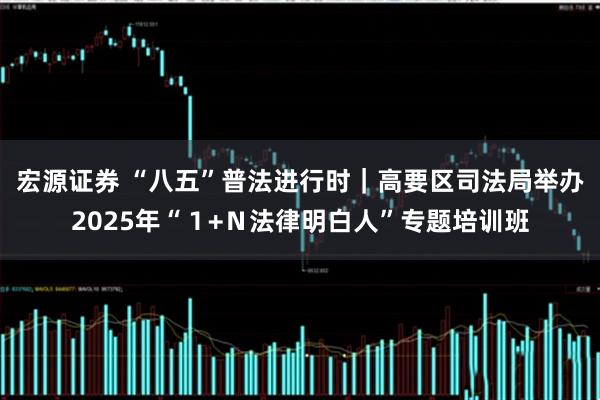 宏源证券 “八五”普法进行时｜高要区司法局举办2025年“１+Ｎ法律明白人”专题培训班