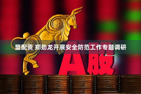 盟配资 郑劲龙开展安全防范工作专题调研