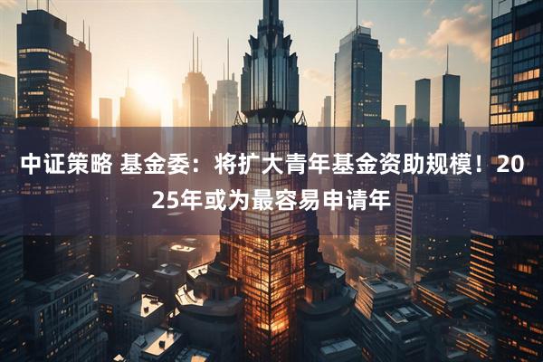 中证策略 基金委：将扩大青年基金资助规模！2025年或为最容易申请年