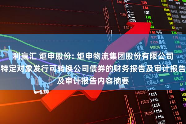 利赢汇 炬申股份: 炬申物流集团股份有限公司关于向不特定对象发行可转换公司债券的财务报告及审计报告内容摘要