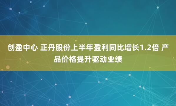 创盈中心 正丹股份上半年盈利同比增长1.2倍 产品价格提升驱动业绩