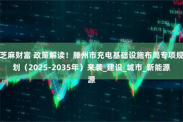 芝麻财富 政策解读！滕州市充电基础设施布局专项规划（2025-2035年）来袭_建设_城市_新能源