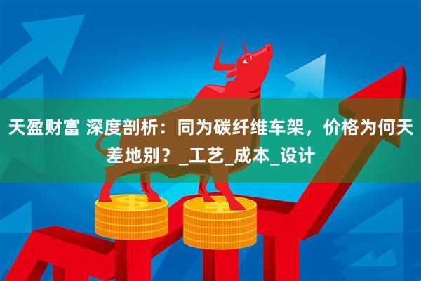 天盈财富 深度剖析：同为碳纤维车架，价格为何天差地别？_工艺_成本_设计