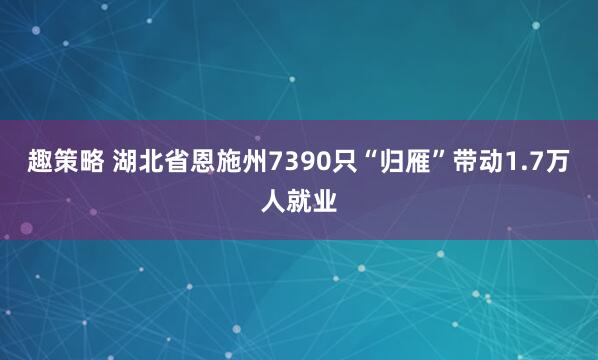 趣策略 湖北省恩施州7390只“归雁”带动1.7万人就业