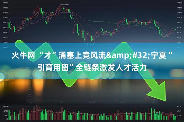 火牛网 “才”涌塞上竞风流&#32;宁夏“引育用留”全链条激发人才活力
