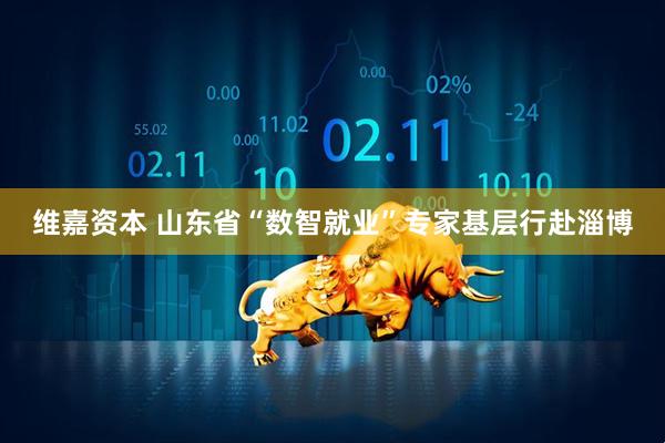 维嘉资本 山东省“数智就业”专家基层行赴淄博