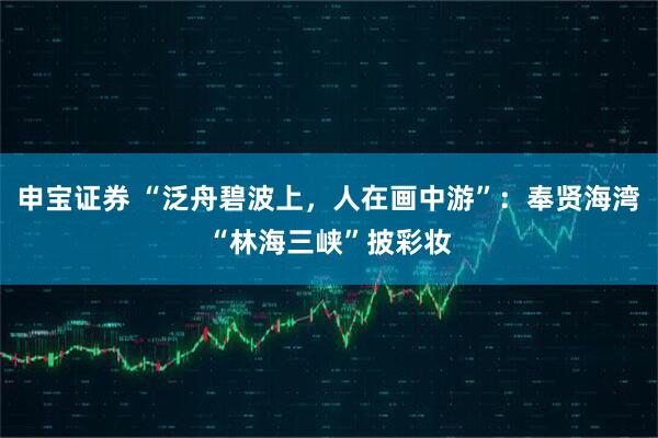 申宝证券 “泛舟碧波上，人在画中游”：奉贤海湾“林海三峡”披彩妆