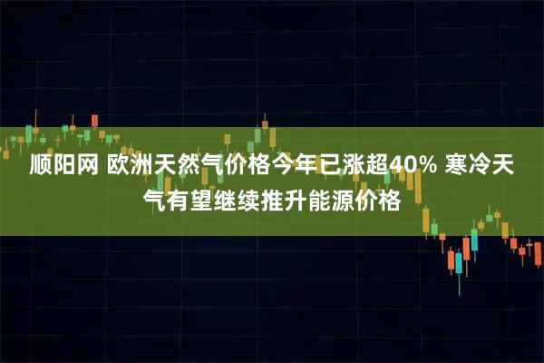 顺阳网 欧洲天然气价格今年已涨超40% 寒冷天气有望继续推升能源价格